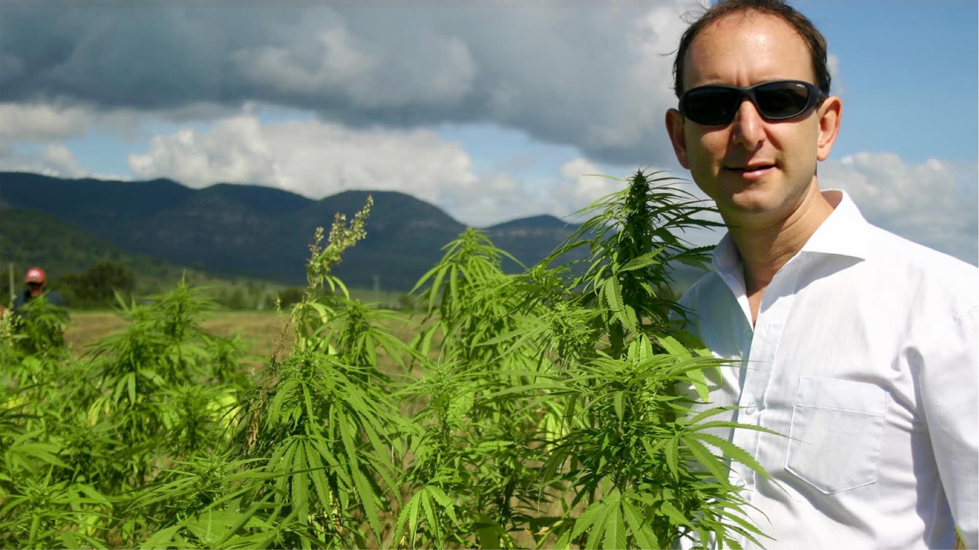 Paul Benhaim in hemp field